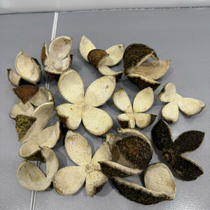 Cáscara de Naranja Natural de Vietnam para un Delicioso Té Herbal y como Ingrediente Aromático para Panadería, Suministro de 99 Gold Data Firm - Product Image 3