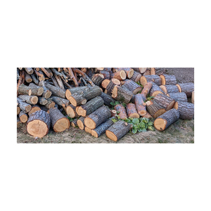 Troncos de madera de roble a precio económico procedentes de bosques de gestión sostenible - Product Image 3