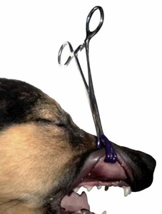 Retractor Labial de Acero Inoxidable KRUUSE con Certificación CE, Mandíbulas Recubiertas, 6.3 Pulgadas, Instrumento Quirúrgico Veterinario, 5 Años de Garantía - Product Image 2