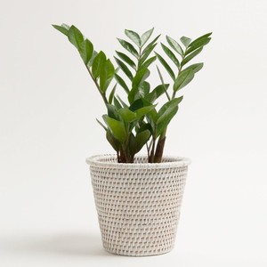 Nouveau dernier design blanc naturel rotin planteur pot panier accessoires de jardin en gros osier jardinières pots meilleurs cadeaux - Product Image 1