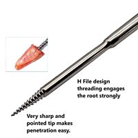 根管挺拔器 Apical Root Elevators (301) 3.5mm 空心手柄不锈钢牙科根管挺拔器低价出售