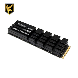 Unidad de Estado Sólido Interna Kingsman Gaming de 1 TB M.2 PCIe Gen5 NVMe para Juegos de PC de Escritorio - Product Image 1
