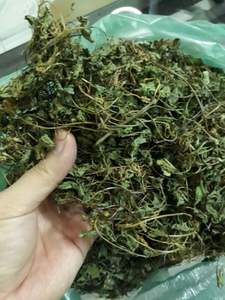 Poudre de feuilles entières de Centella pour tisane, emballage en vrac OEM, Pennywort séché, Gotu Kola - Product Image 6