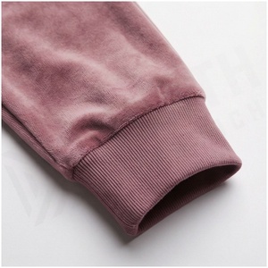 Women <b>Velvet</b> Hooded <b>Tracksuit</b> Set Full Sleeve Zipper Front Solid Color Casual Jogger Pants and Jacket Autumn Wear - Product Image 6