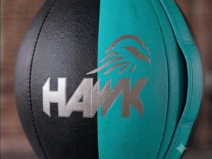 Hawk Heavy Double End Speed Ball en cuir PU noir et turquoise, sac de frappe réflexe élastique suspendu, facile à installer pour la salle de sport à domicile - Product Image 2