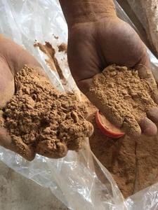 ผงไม้หอมเวียดนามมาคโค / ผงคุณภาพพรีเมียมสำหรับทำธูปหอมบำบัด / คุณชิน - Product Image 6