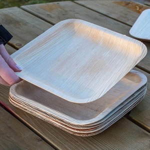 Nouvelles assiettes carrées biodégradables en areca de 10 pouces, fournitures pour fêtes, 50 pièces, pour anniversaires et événements de restauration rapide - Product Image 1