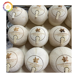 ส่งออกมะพร้าวอ่อนสดทั้งลูก สำหรับบรรจุภัณฑ์ขายปลีก ขายส่ง และผู้ซื้อต่างประเทศ - Product Image 1