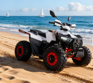 Quad 4 roues à transmission par chaîne 150cc 500W-800W Vert Clair Nouveau modèle Warrior 2025 pour 2 passagers à vendre - Product Image 4