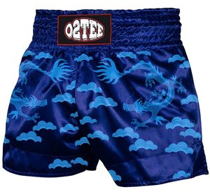 <b>Men</b> Muay Thai <b>Shorts</b> Satin Print Elastic Waist Training Gym Kickboxing Lightweight Top top <b>mens</b> muay thai martial - Product Image 4