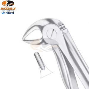 Figurine chirurgicale dentaire Forceps d'extraction dentaire 33L pour racines inférieures, à dents de différentes tailles, instruments dentaires, prix de gros en vrac - Product Image 3
