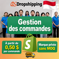 Agent d'exécution des commandes en Chine, agent de dropshipping pour les boutiques Shopify, service d'exécution des commandes avec personnalisation de la marque, sans MOQ pour Monaco