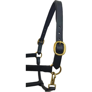 Cabestro Ajustable para Caballo de Cuero Genuino Premium Royal International con Latón Sólido |   Herrajes Resistentes para Establos Ecuestres - Product Image 2