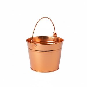 Seau de jardin classique en métal avec poignée, finition noire thermolaquée, pour plantes vertes et fleurs, usage extérieur, finition durable - Product Image 4