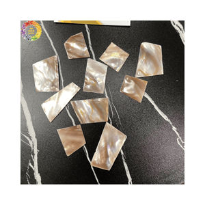 ขายส่งเปลือกหอยธรรมชาติหลากสีสำหรับผลิตกระเบื้องโมเสคจากเวียดนาม - Product Image 5