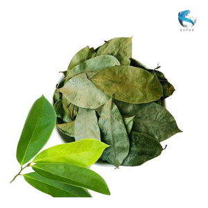 Hojas de Guanábana Secas de Origen Vietnamita, Recogidas a Mano, Material Natural para Té, Empaque Personalizado OEM, Precio Competitivo - Product Image 6