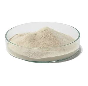 Poudre d'agar délicatement sucrée et aromatisée à la noix de coco grade export Vietnam au meilleur prix - Product Image 5