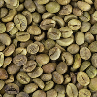 Café Robusta Torréfié du Vietnam de Qualité Supérieure, Grains de Café Verts Prêts à l'Exportation, Vente Chaude en Gros, OEM/ODM, Grade 90%