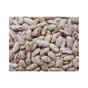 Frijoles rojos de alta calidad, forma larga, en venta (precio con descuento) Frijoles azucarados al por mayor - Product Image 2