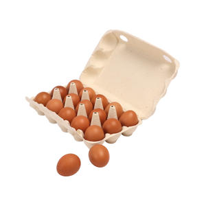 Plateau à œufs en papier avec pulpe de papier, écologique, recyclable, dégradable, prix compétitif, emballage pour œufs fabriqué par Vina Green Pack - Product Image 4