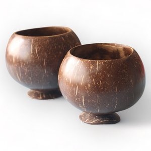 Tasses en coquille de noix de coco, prix de gros les plus bas, ensemble de tasses à thé et à expresso de qualité supérieure, faites à la main à partir de coquilles de coco - Product Image 6