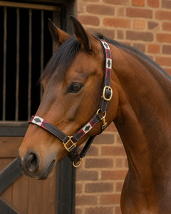 Cabestro de Cuero Premium para Caballos, Proveedor Mayorista de Artículos Ecuestres de Divine International - Product Image 6