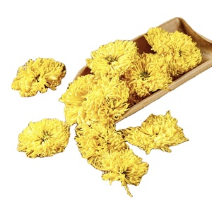 โรงงานดอกเบญจมาศเวียดนาม ผู้จัดจำหน่ายวัตถุดิบดอกไม้ธรรมชาติสำหรับชงชา ตกแต่ง และบรรจุภัณฑ์ - Product Image 1