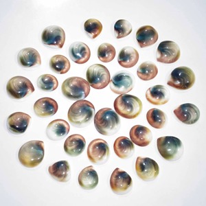 Piedra Preciosa Natural Ojo de Shiva en Bruto, Cabujón para Joyería al por Mayor - Piedras de Alta Calidad con Tamaños Personalizables para Colgantes/Collares - Product Image 3