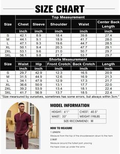 Ensemble tendance pour homme, t-shirt à col zippé en tricot respirant, pantalon court uni, ensemble deux pièces, vêtements de sport d'été, entraînement, fitness, jogging, vêtements décontractés - Product Image 6