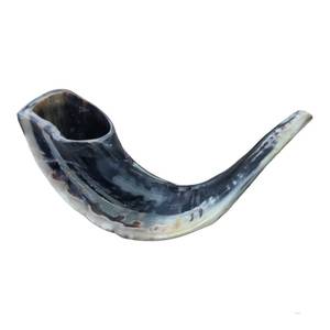Shofar en corne de bélier naturelle, écologique, pour usage religieux, cadeau d'affaires - Uttar Pradesh Hs Husnain Crafts - Product Image 1