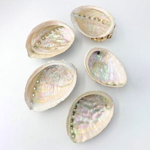 Dried clean <b>abalone</b> sea <b>shell</b> beach decor ornament & sage burning manufacturer cost natural seashell - Product Image 3