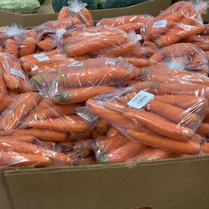 Légumes Biologiques Frais en Gros, Carottes à Bon Prix, Disponibles pour l'Exportation - Product Image 5