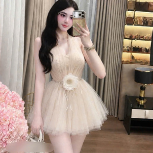 Vestidos plisados de chifón para mujer, con cintura natural, ajuste ceñido, sin tirantes, lavables, precio de fábrica, personalizables - Product Image 1