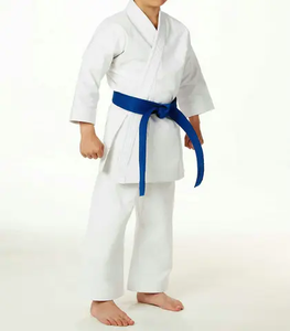 Uniformes de Karate OEM, Diseño Personalizado, Ropa de Artes Marciales de Venta Caliente, Conjuntos de Trajes Unisex para Niños, Uniformes de Karate Económicos para Niños - Product Image 1