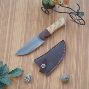 Cuchillo Bowie de Cocina Fijo de Grado Industrial con Borde Dentado y Punta de Clip, Estilo Nuevo, OEM, Personalizable, de Acero Inoxidable, Mini Cuchillo de Bolsillo - Product Image 2