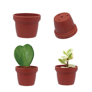 <b>Mini</b> Planter Fro <b>Succulent</b> <b>Bulk</b> Nursery - Product Image 1