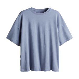 T-shirt décontracté pour homme de grande taille, logo personnalisable de haute qualité, devant uni, couleur ciel, 220 g/m², 100 % coton biologique respirant - Product Image 1