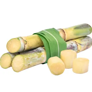 WHOLESALE FROZEN SUGARCANE WITH COMPETITIVE PRICE AND HIGH QUALITY FOR EXPORT FROM VIETNAM