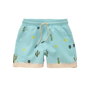 Short de bain pour homme, short de plage, boardshorts, vêtements de plage d'été - Product Image 1