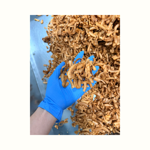 มะพร้าวอบแห้งสำหรับส่งออก ขายส่งในราคาที่แข่งขันได้ ผลิตภัณฑ์ธรรมชาติจากเวียดนาม มีจำหน่ายมะพร้าวขูดแห้งสำหรับสั่งซื้อจำนวนมาก - Product Image 1