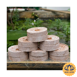 [EL MÁS VENDIDO] Bloque de Turba Ecológico BLUE LOTUS FARM de Alta Absorción para Germinación de Cultivos, Material de Plantación, Ben Tre, Vietnam - Product Image 1