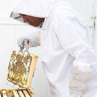 Popolare Tuta da Lavoro Integrale Traspirante in Cotone a Prezzo di Fabbrica, Tuta da Apicoltore Taglie Forti, Colore Personalizzabile, in Vendita