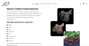 Selle de course synthétique personnalisée TRIDENT INTERNATIONAL TI101OA011 pour chevaux d'exercice, vente en gros ODM, selle d'équitation anglaise pour courses de chevaux - Product Image 4