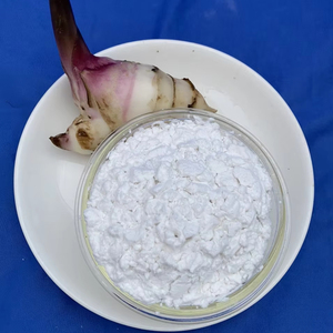 Almidón de Araroto Orgánico en Polvo, Sabor Natural para Alimentos e Ingredientes, Empacado en Bolsa, Origen Vietnam - Product Image 1