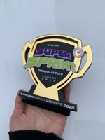 Trophée personnalisé en acrylique, médaille de récompense en cristal, gravure de logo personnalisée pour compétition sportive, cadeau d'entreprise