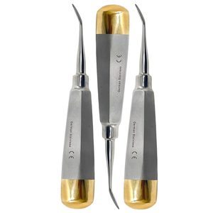 Élévateur dentaire pour racines - Élévateur dentaire à poignée creuse, extrémité dorée - Élévateur dentaire oral luxateur (3 pièces) - Product Image 3