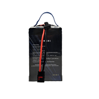 Batterie semi-solide rechargeable NMC 14S 50000mah 320WH/kg avec certificat CE pour drone de livraison agricole UAV