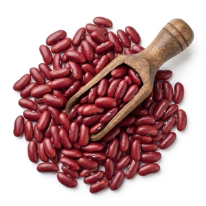 Low Moisture Kidney <b>Beans</b> / Dry Rajma <b>Beans</b> Below 14% Moisture for Long Storage 600-800 USD/Ton Bulk Export Quality - Product Image 1