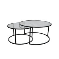 Table gigogne élégante en métal avec plateau en verre, meuble polyvalent pour la maison, le bureau, le salon, décoration
