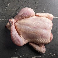 Poulet Congelé de Haute Qualité en Gros à Prix Abordable, Poulet Entier et Pièces Congelées Halal, Poulet Entier Congelé Premium Halal